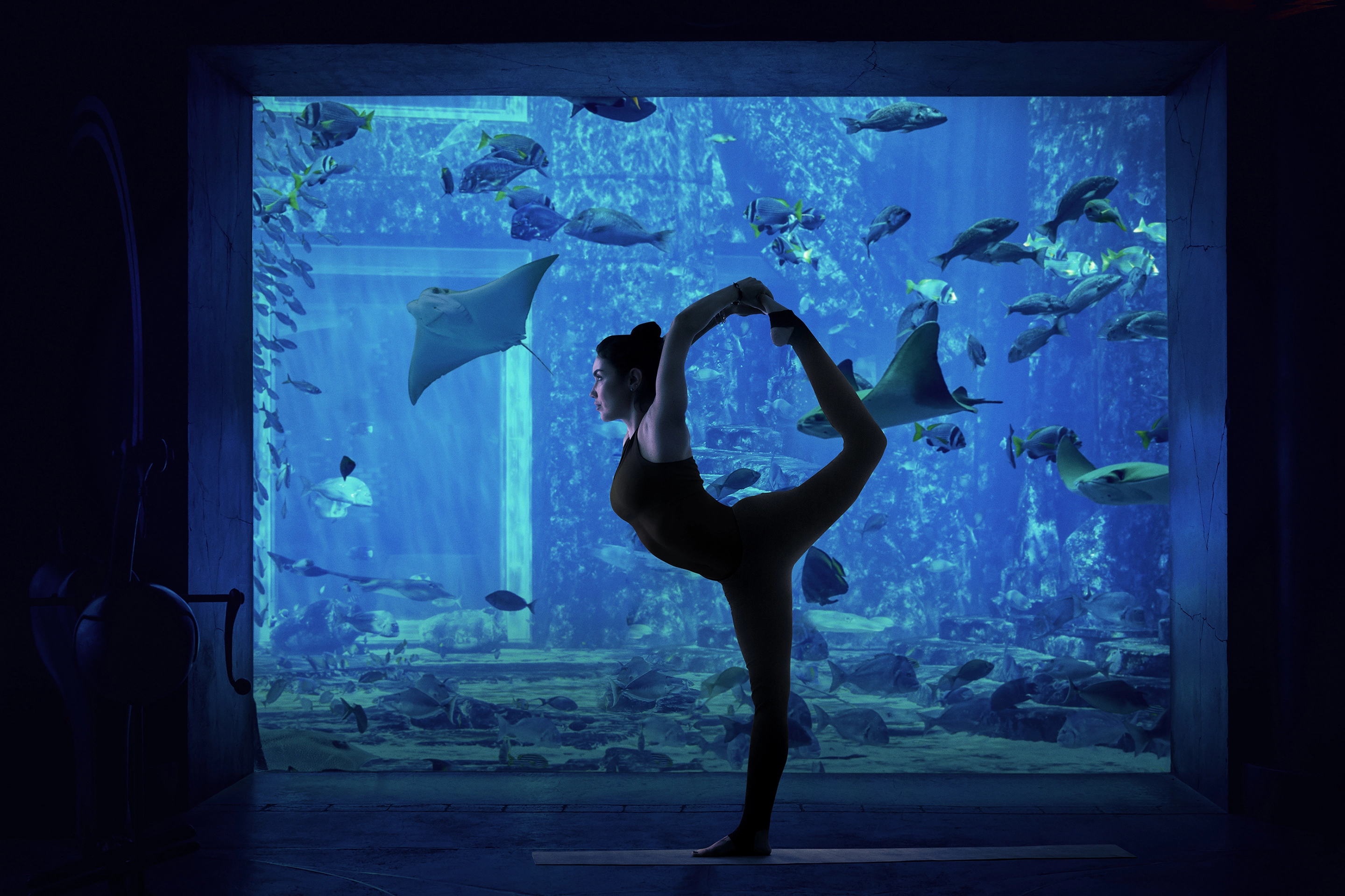 Aquarium Underwater Wellness
