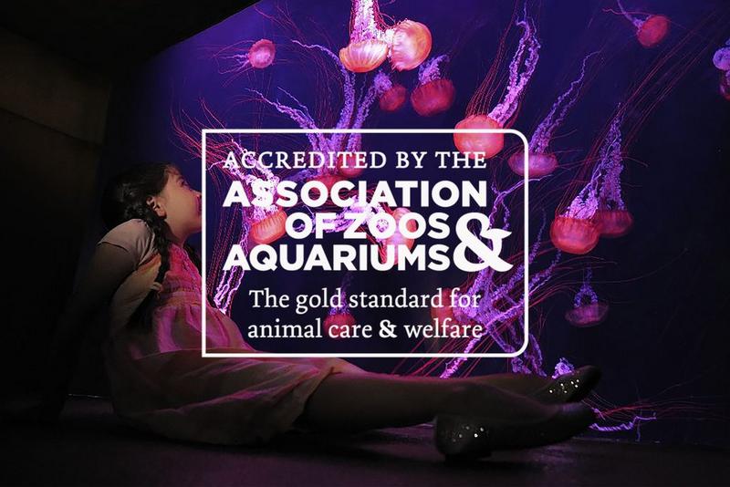 AZA Accreditation