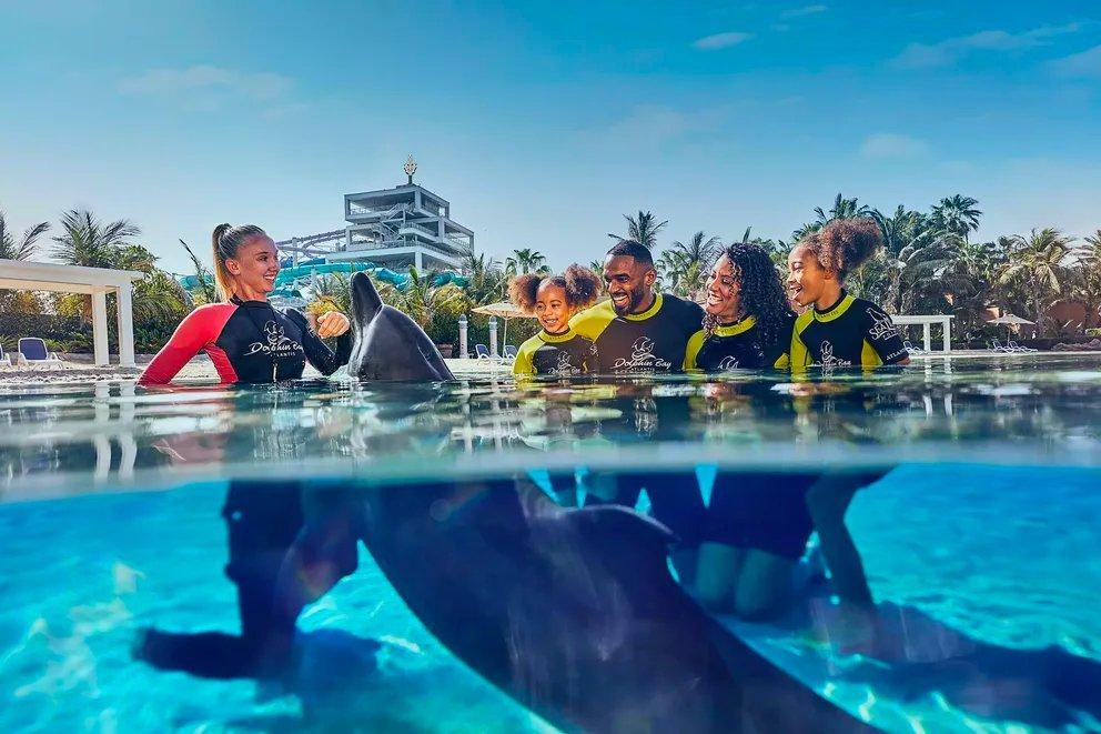 Dolphin encounter