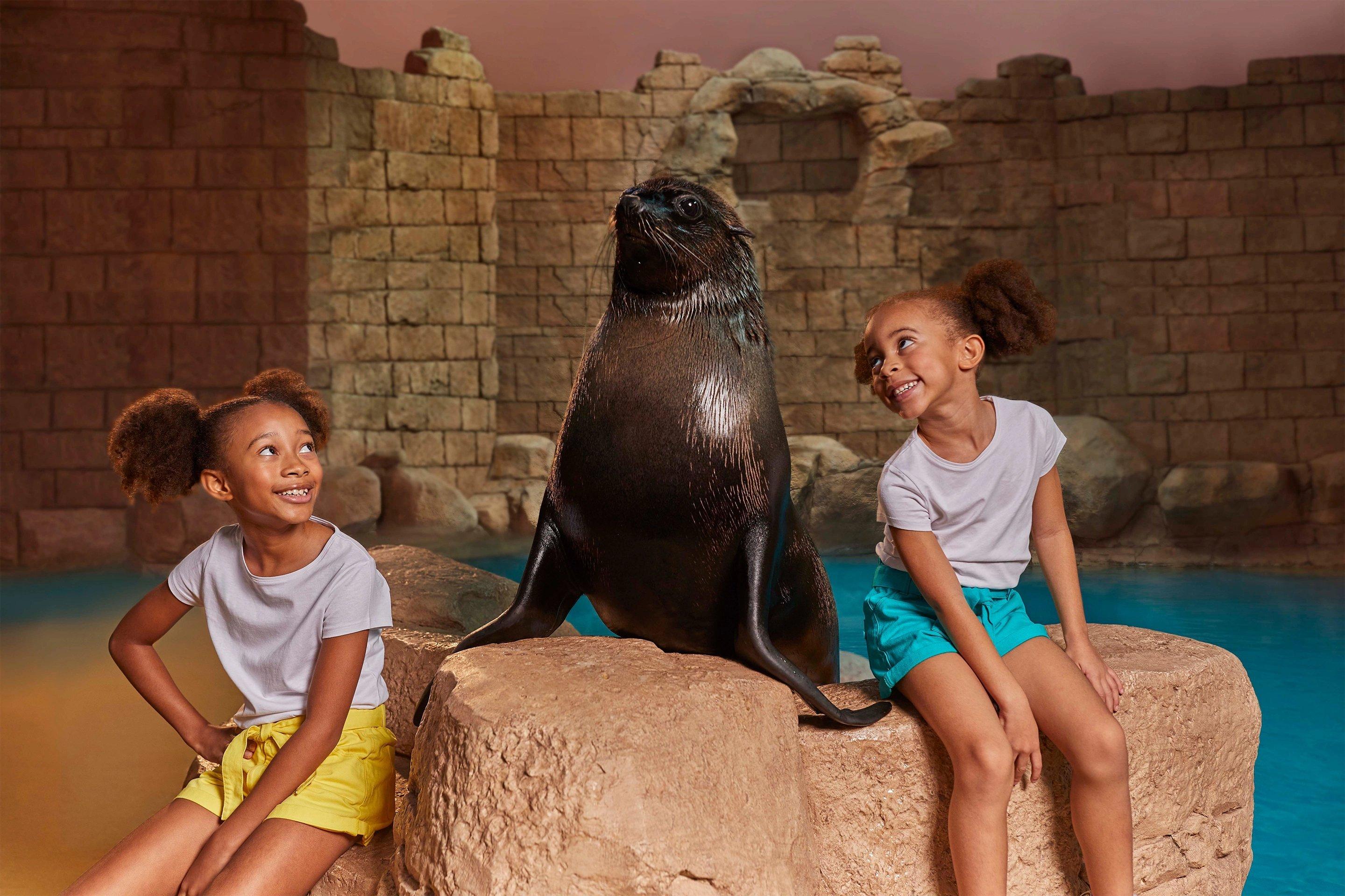 Meet our sea lions at Sea Lion Point