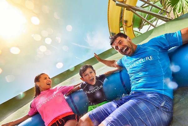 Corporate group on a water slide