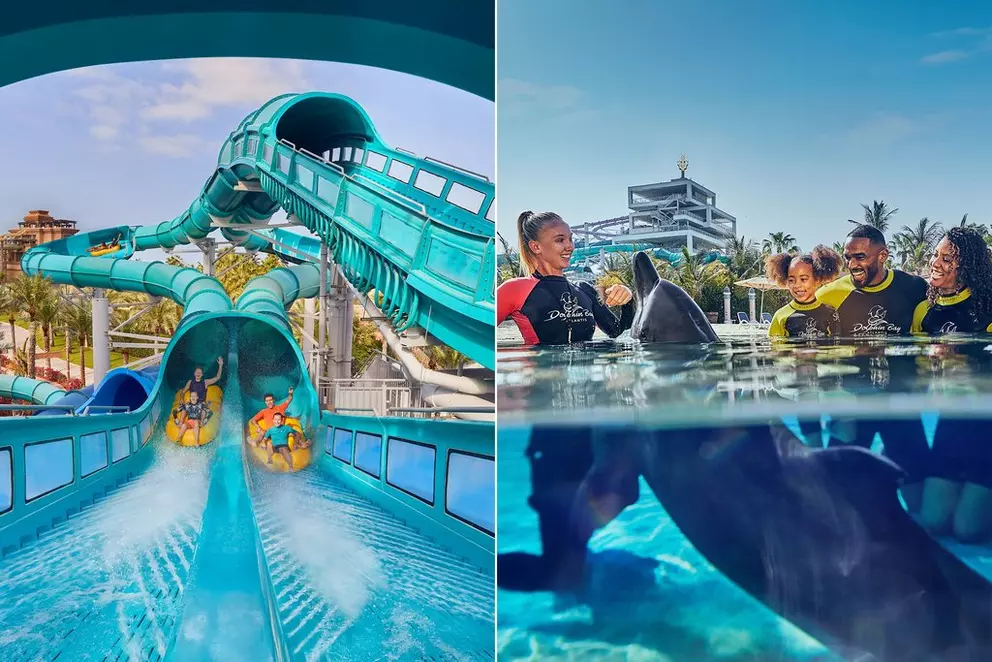 Waterpark Day Pass + Dolphin Encounter